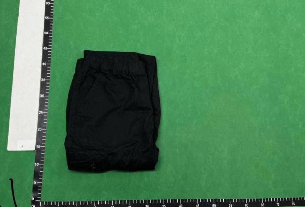  Carhart pants -3