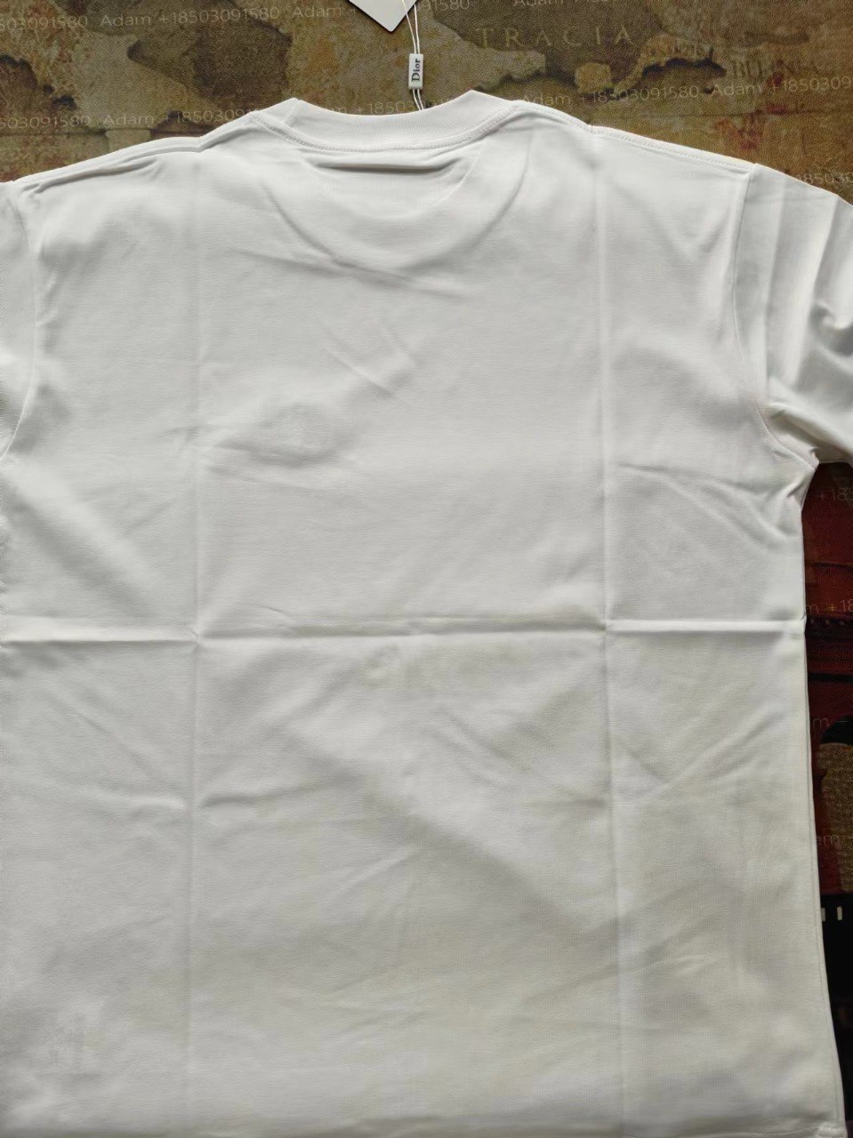 DIOR T-Sirt1 -4