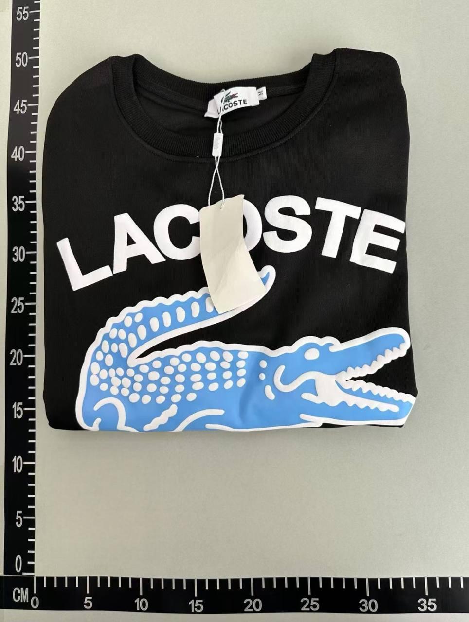 LACOSTE1 -4