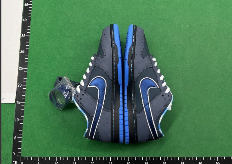 Nike Dunk SB -5
