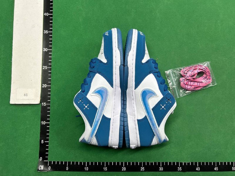 Nike Dunk SB -3