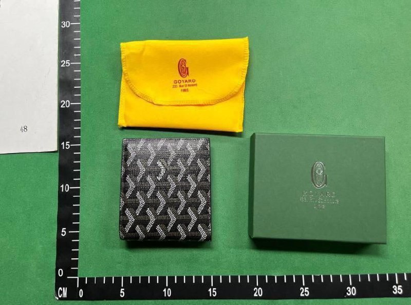 Goyard Bag -4