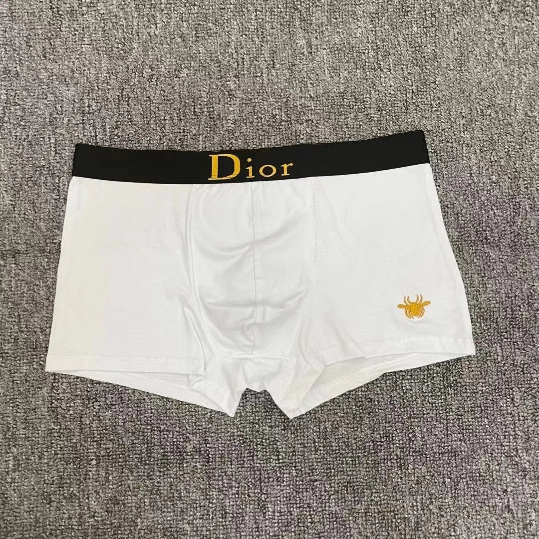  Dior Underwear -4