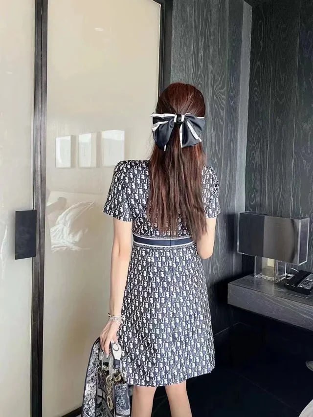DIOR dress -2