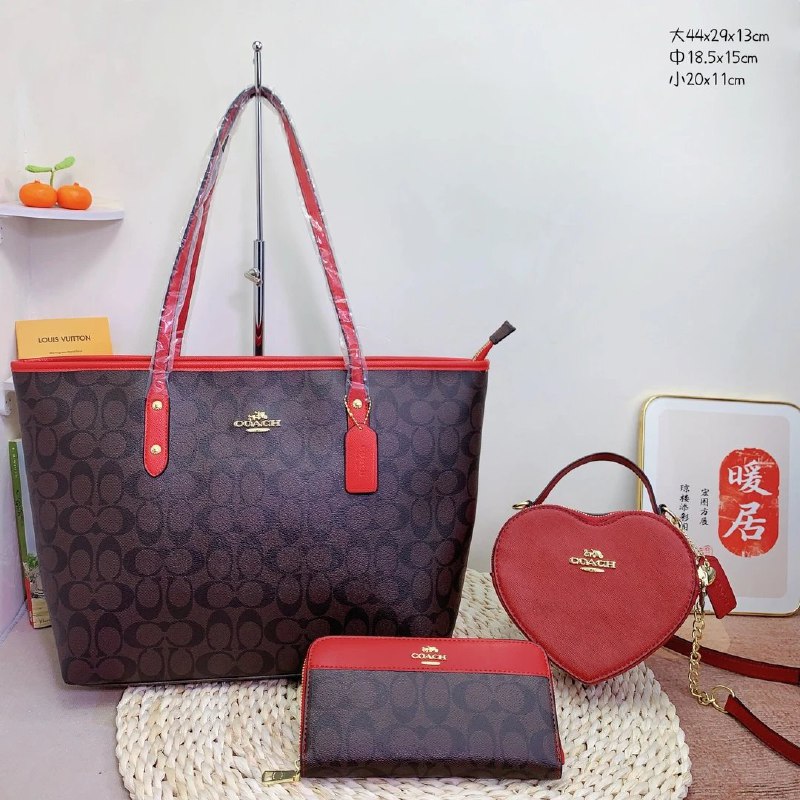 Coach Bags -2