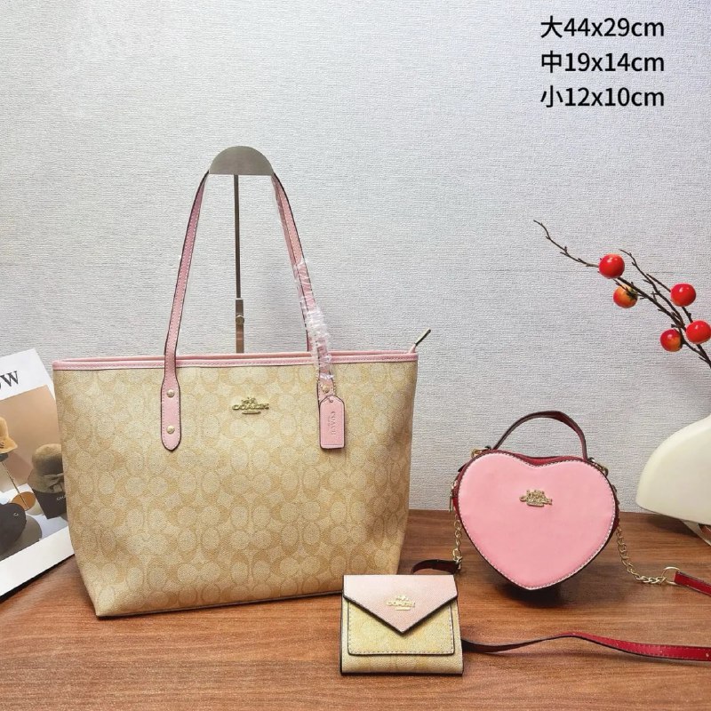 Coach Bags -3