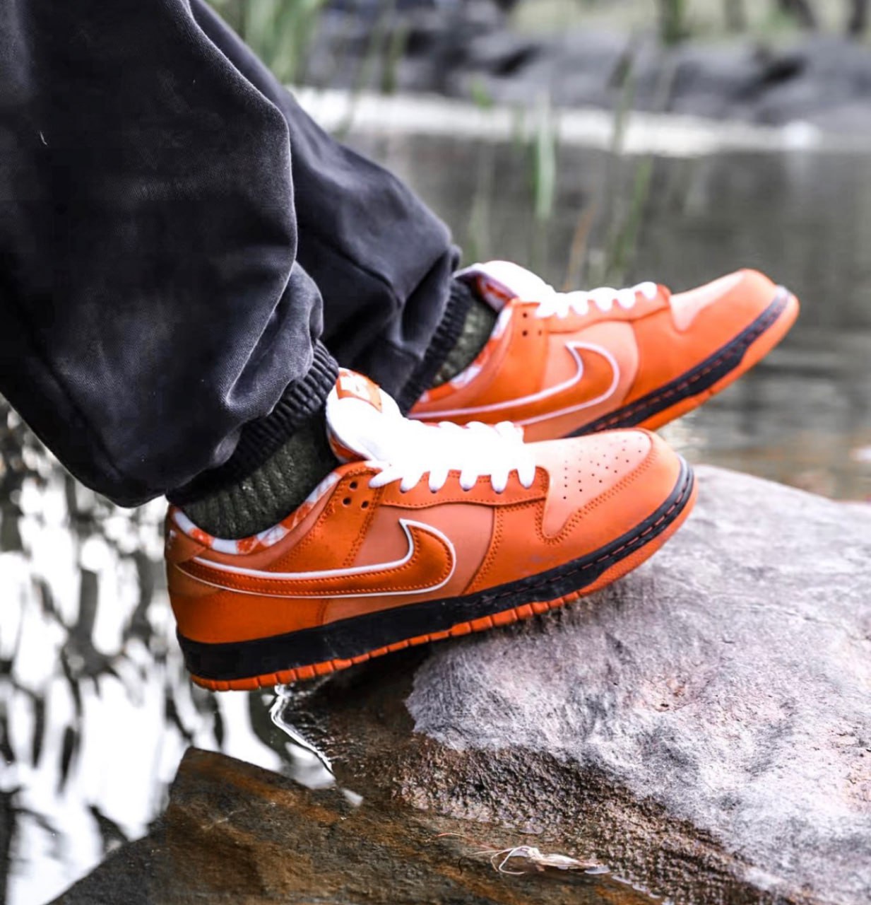 dunk OG -2