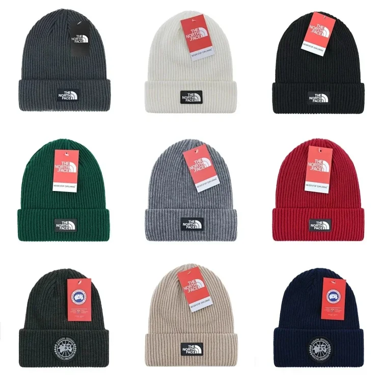 hat(The North Face & canad