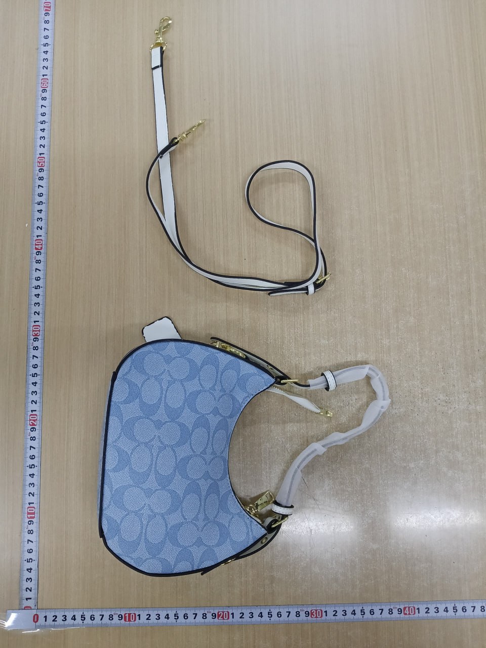 Coach Bag -2