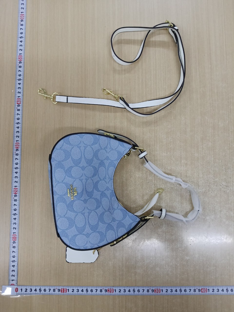 Coach Bag -3