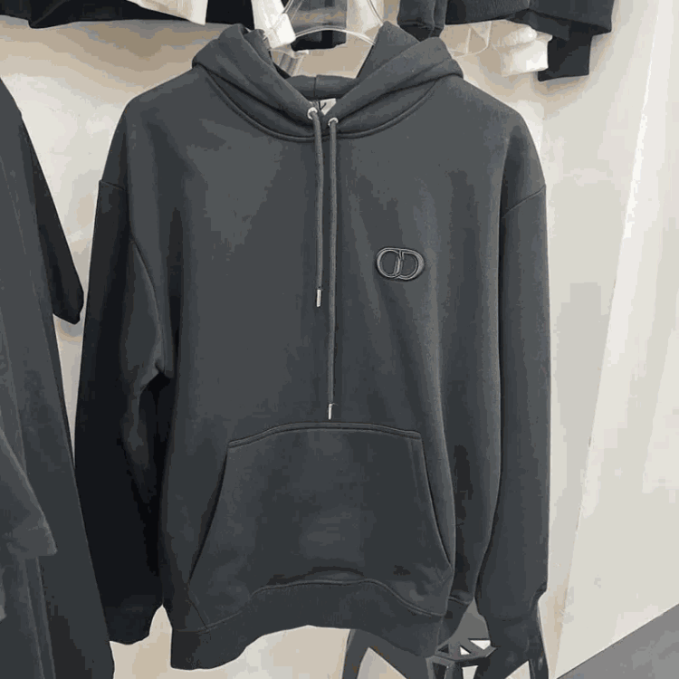  Dior Hoodie/Sweatshirt