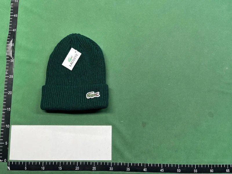 Lacoste Beanie（40+ Styles） -5