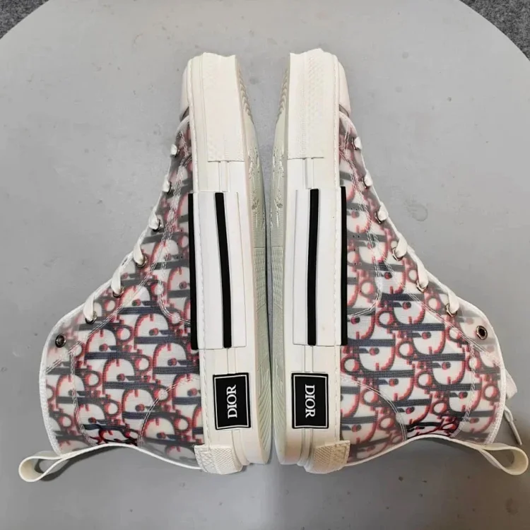 DIOR B231