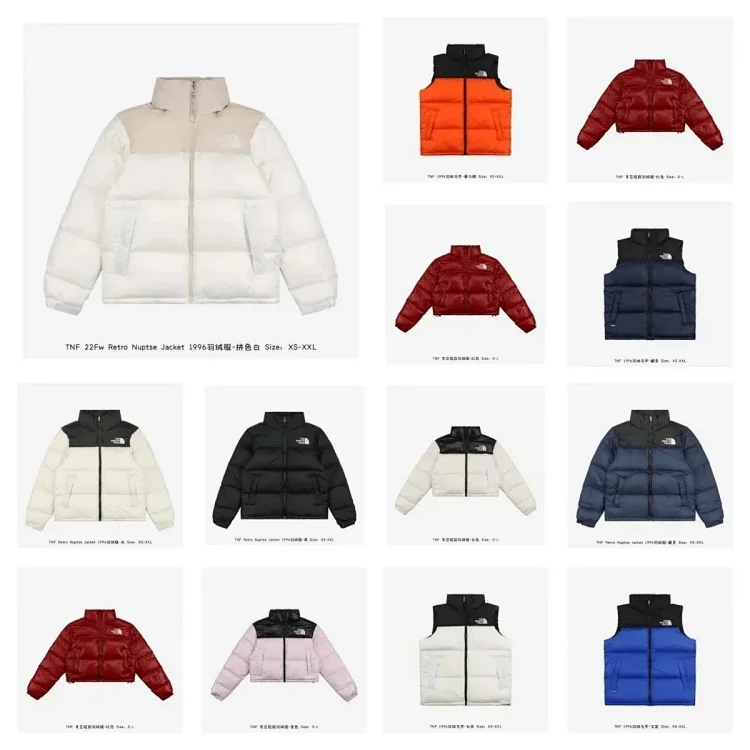 THE NORTH FACE Down1