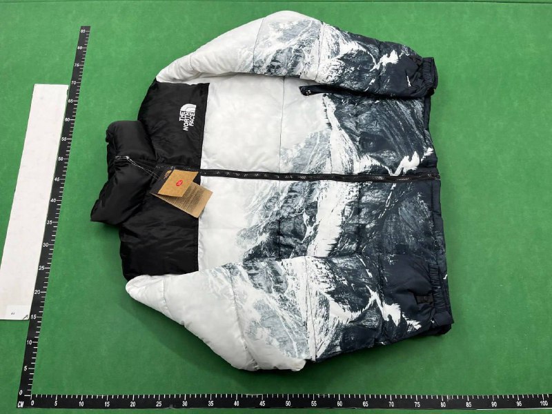 THE NORTH FACE Down1 -4