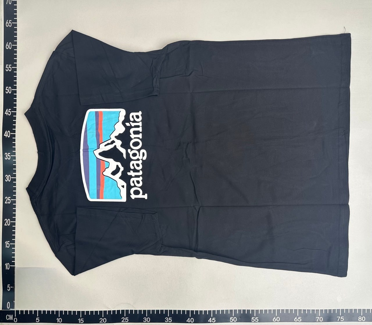 Patagonia T-shirt -2