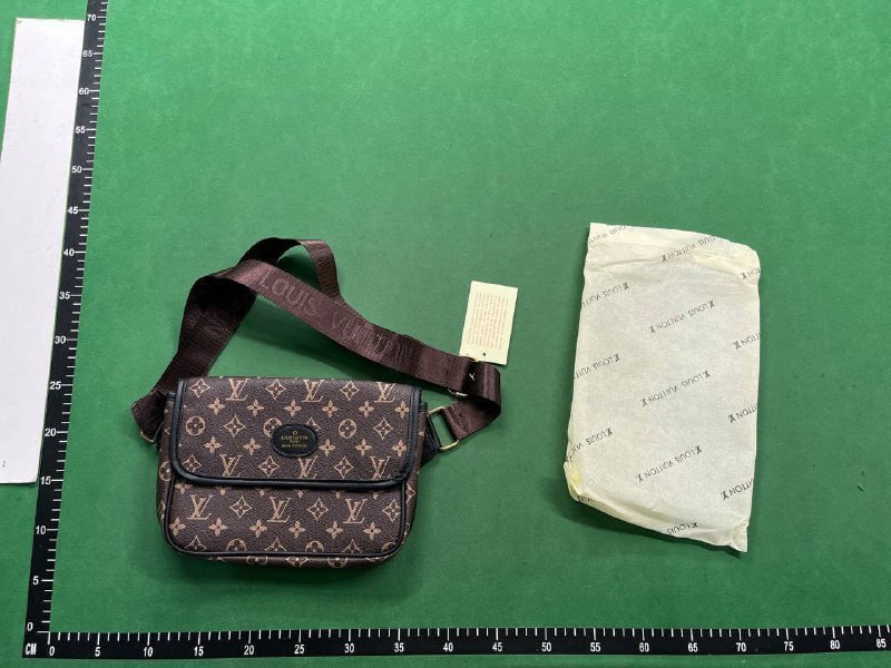  Louis Vuitton  Bag -4