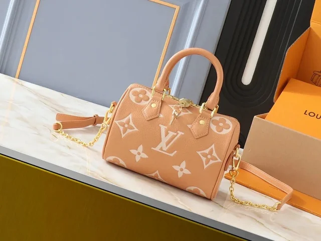 Louis Vuitton Bag  -3