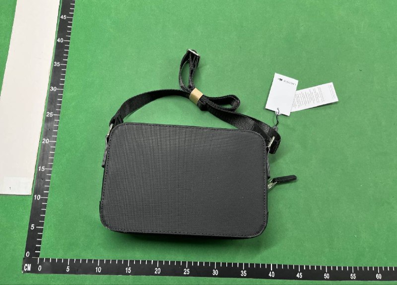  Lacoste & Louis Vuitton Bag  （30+style -4