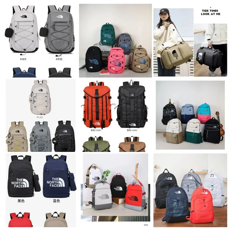  the north face bags