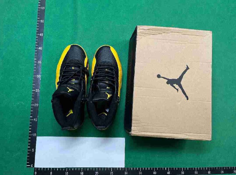  NIKE AIR JORDAN 12 -3