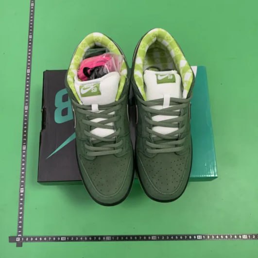 CONCEPTS x Nike Dunk SB  -3