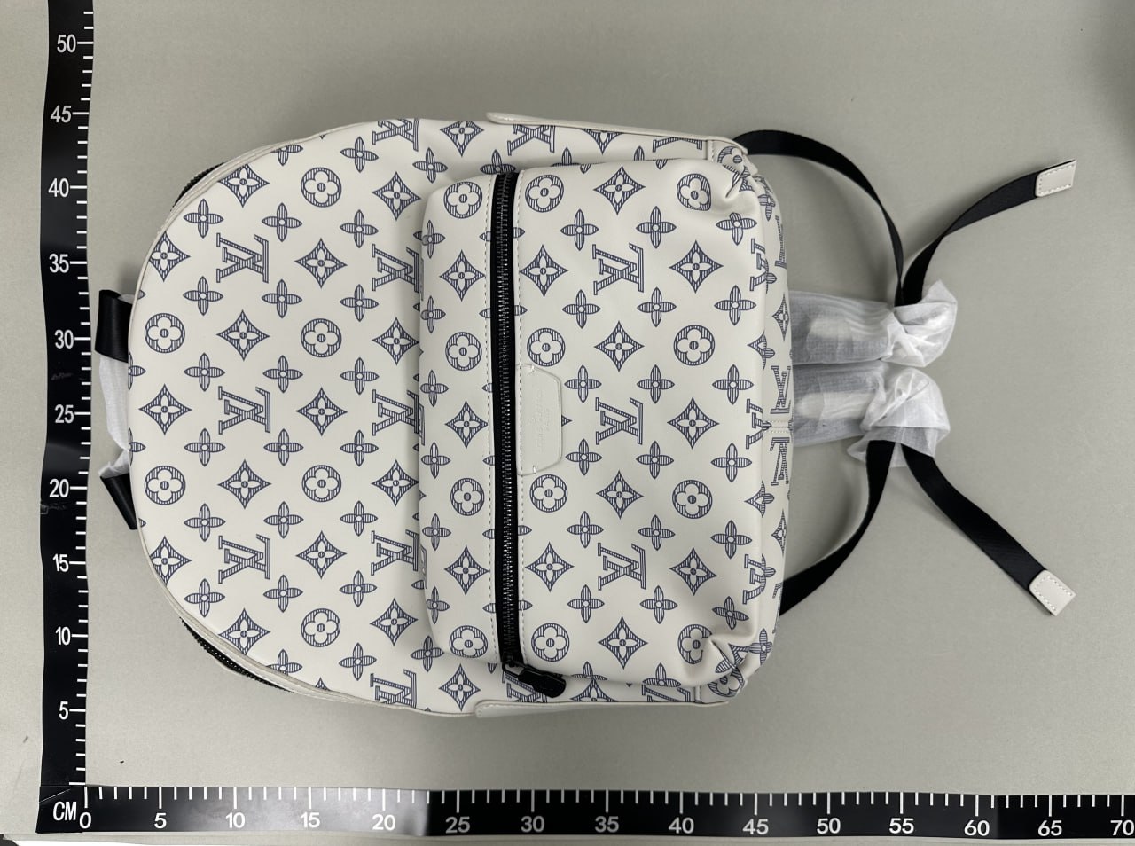 Louis Vuitton Backpack -4