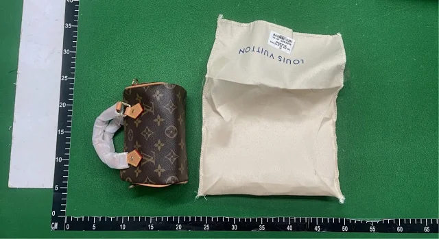  LV Bag2 -4