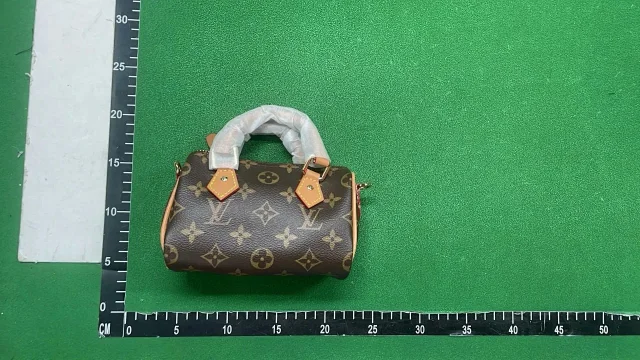  LV Bag2 -5