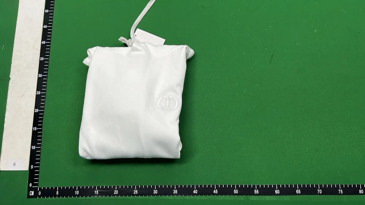 Dior Hoodie -2