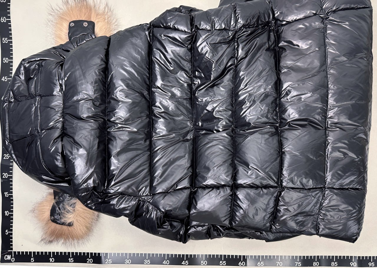 Moncler Hudson Down Jacket1 -4