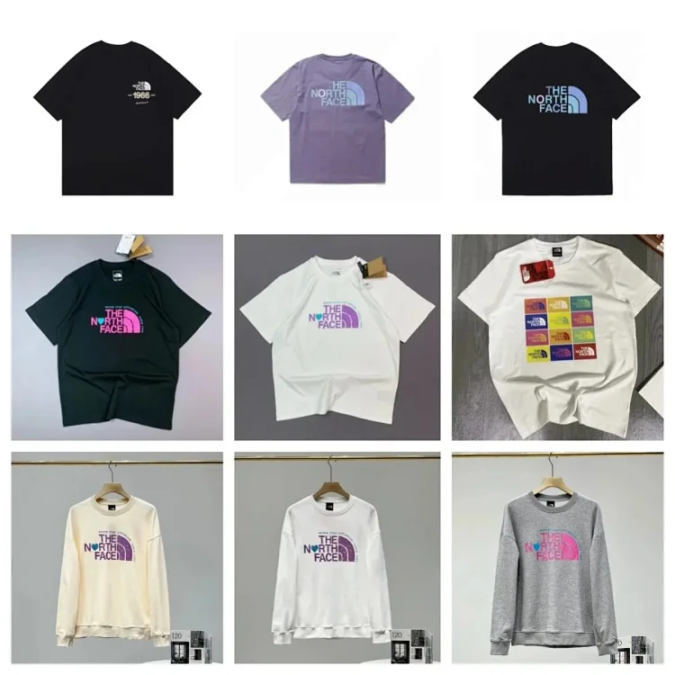  fTHE NORTH FACE   t-shirt