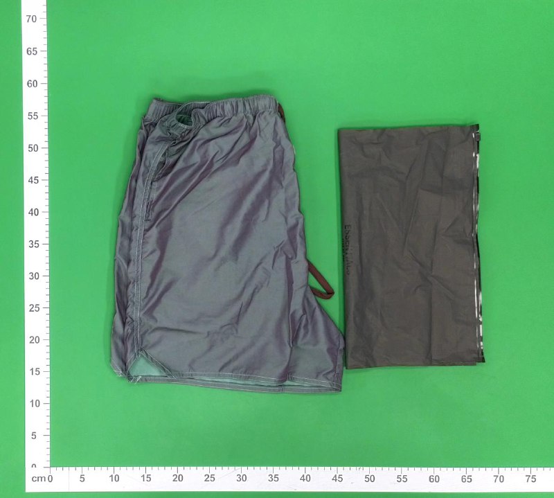 Fear of God Essentials  shorts (5 -4