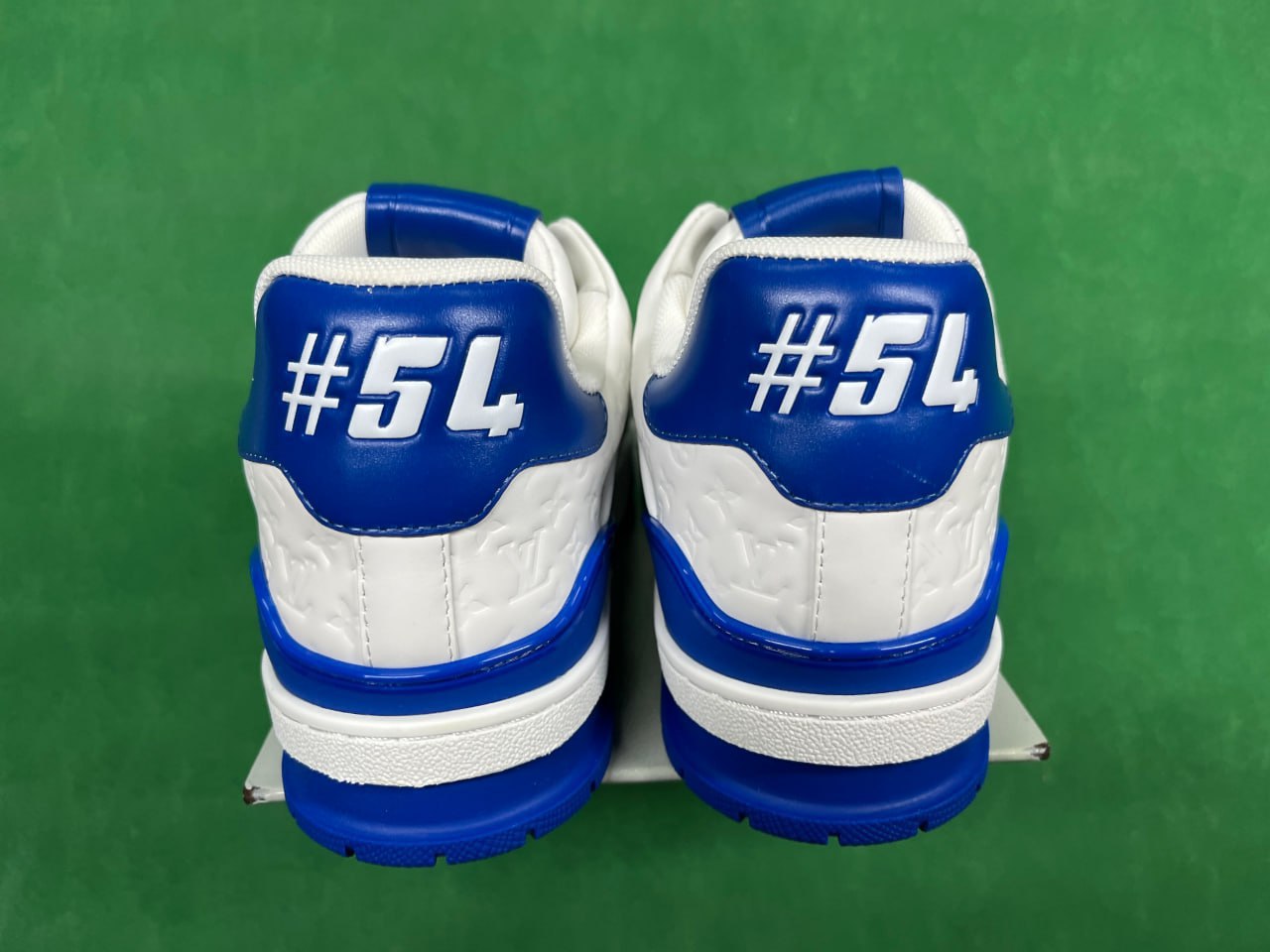 FS-LV Trainer -3