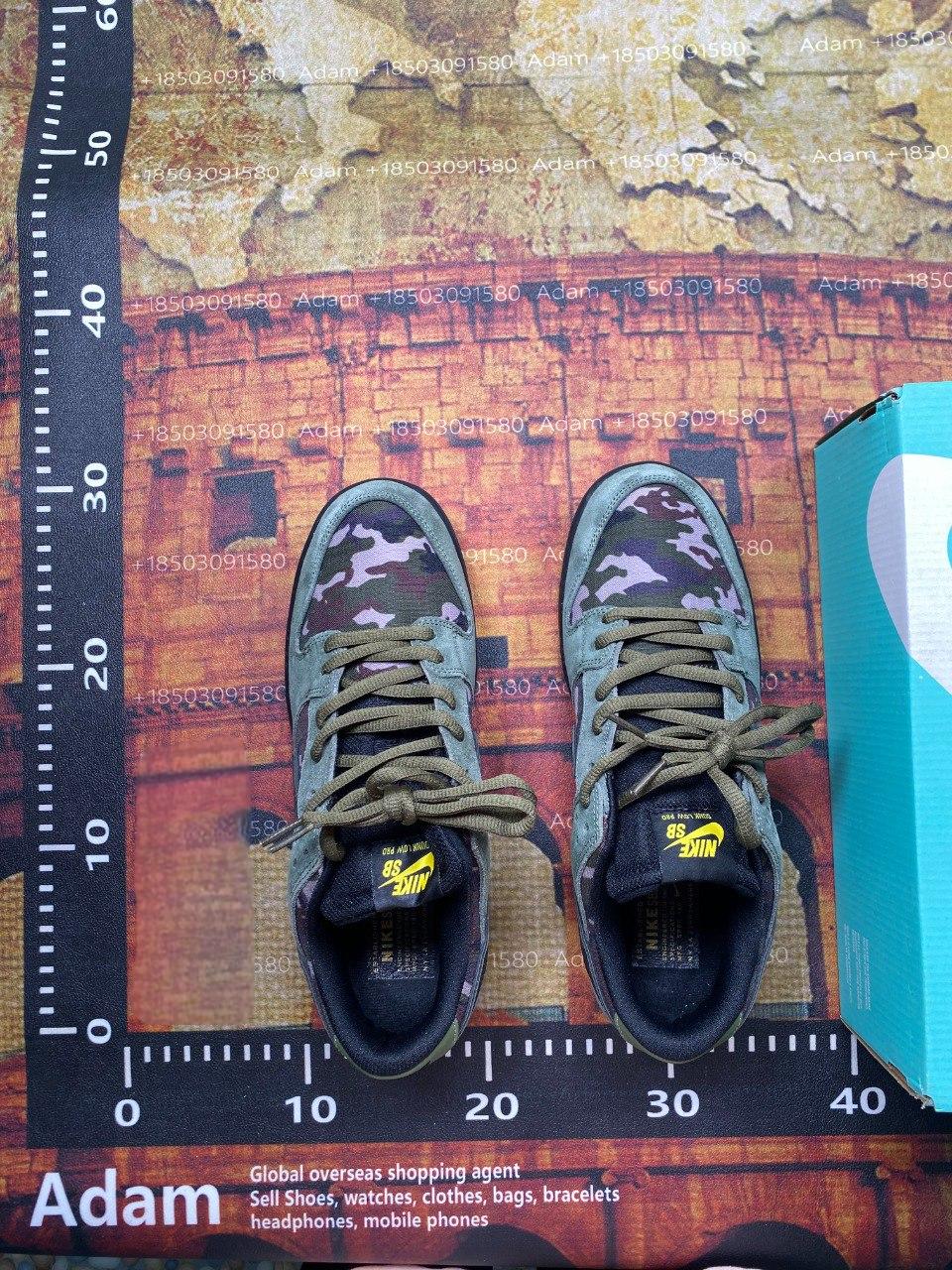 NIKE Dunk SB Pro -2