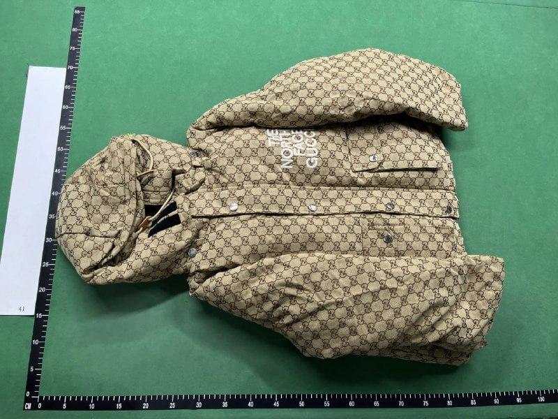 The North Face x Gucci Puffer -4