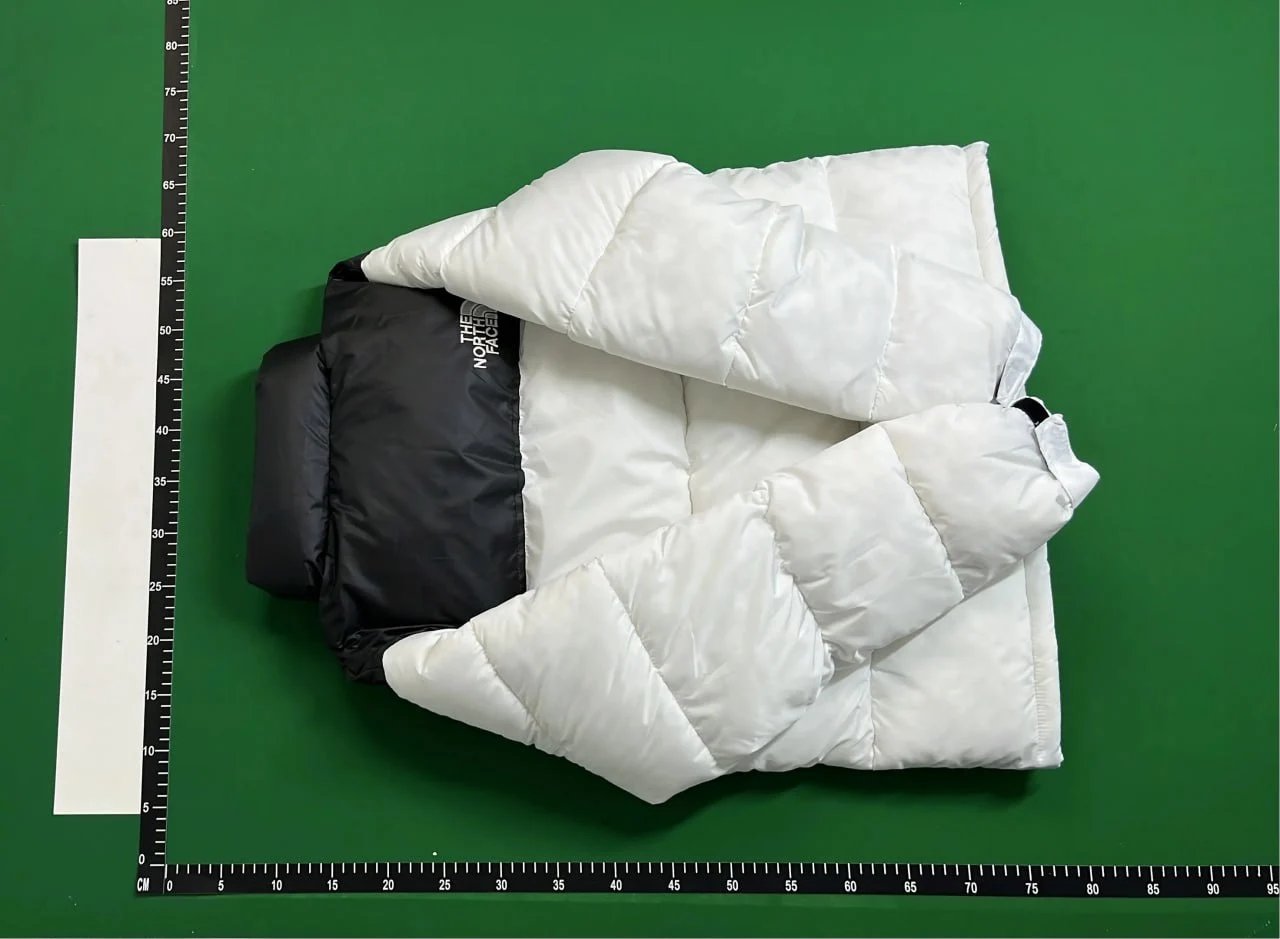 THE NORTH FACE down jacket 1 -4