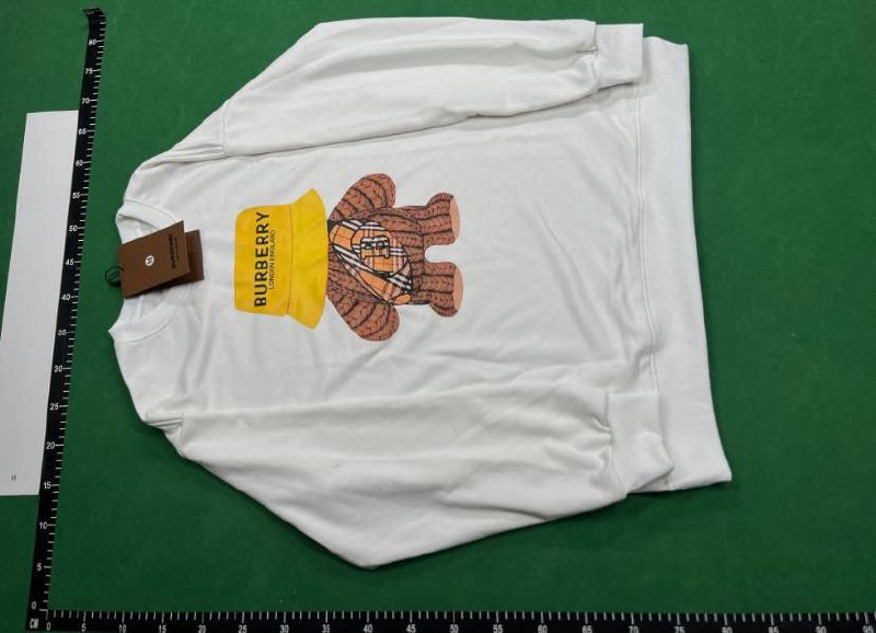 Burberry Hoodies [40 styles] -5
