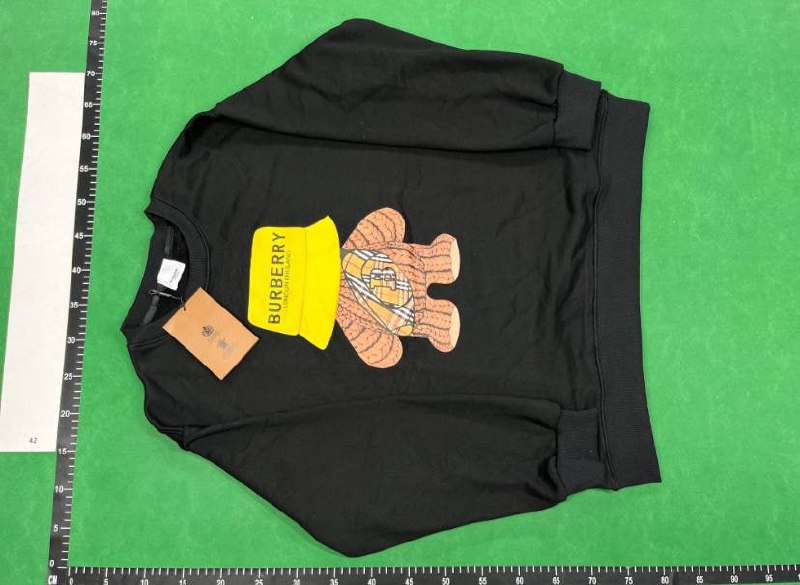 Burberry Hoodies [40 styles] -4