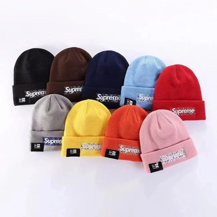 Supreme Box Logo Beanie [8 sty
