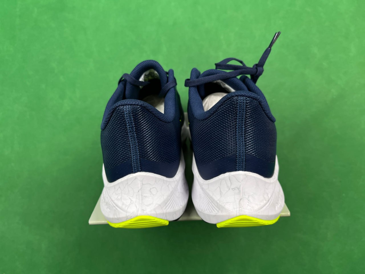 GOT-ZOOM FLY5 -2