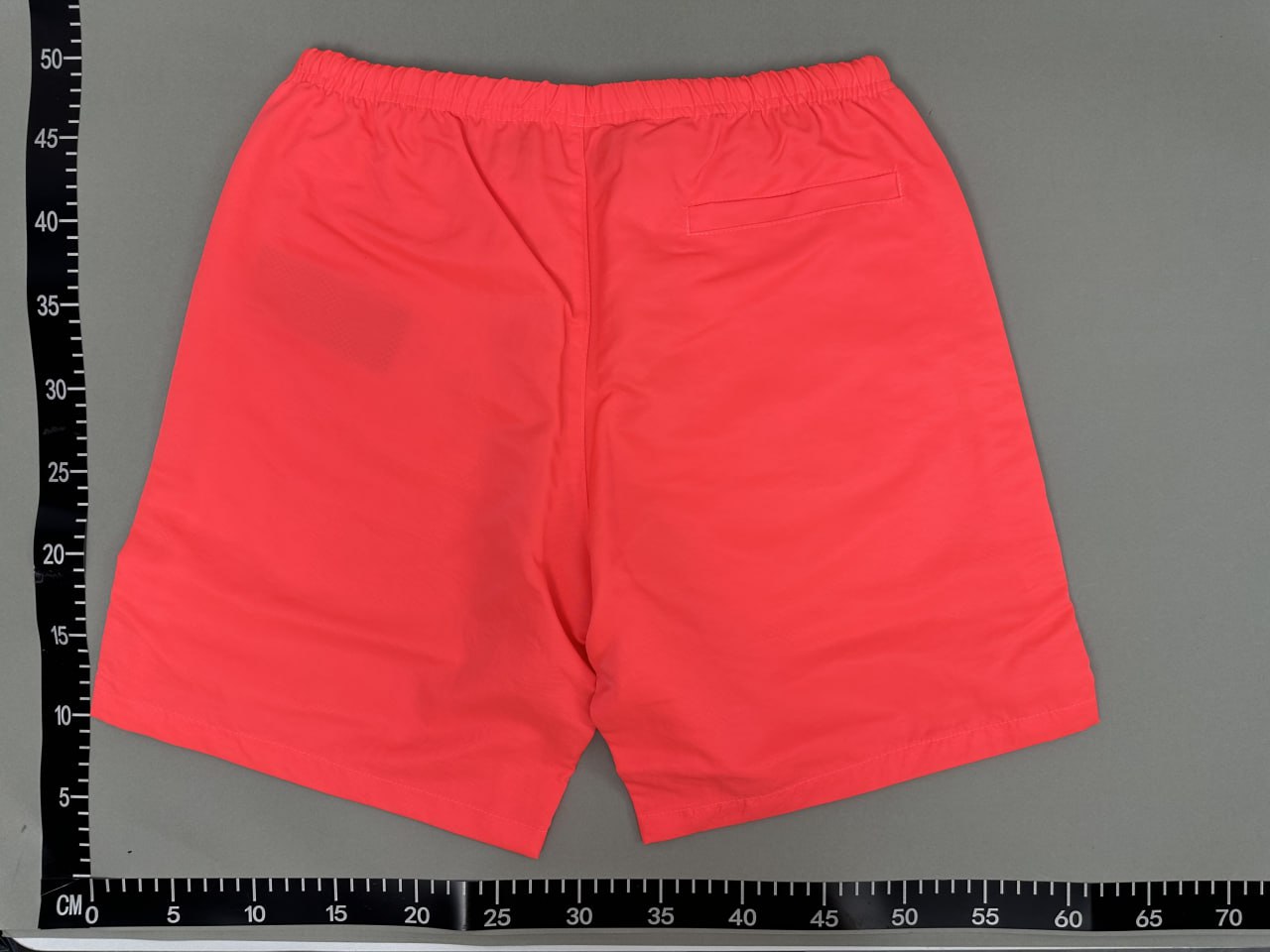  PALM SHORTS -4