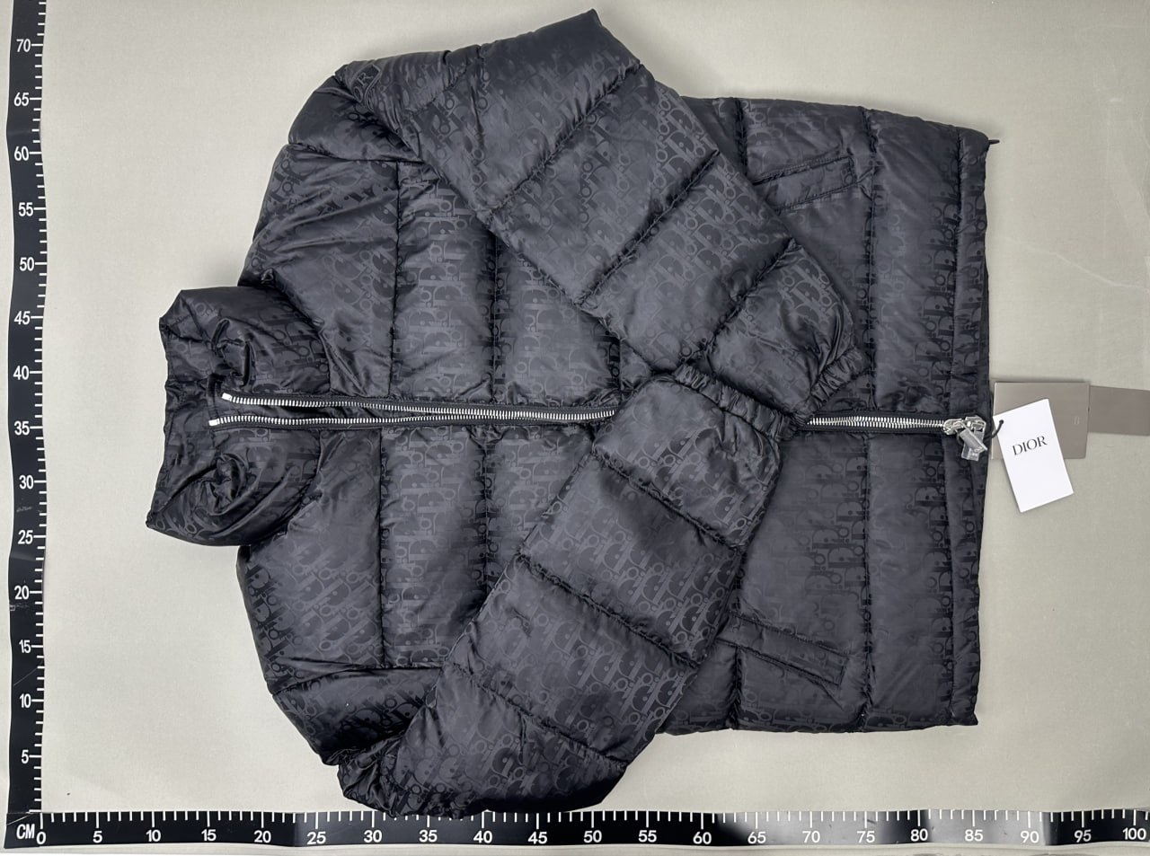 Dior Oblique Down Jacket Padding -2