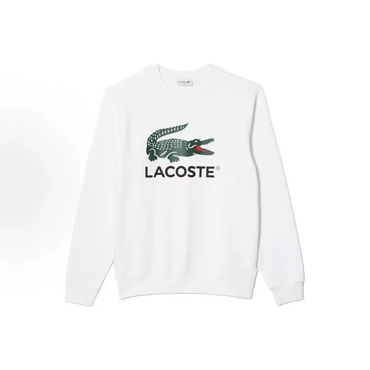  Lacoste Hoodie1