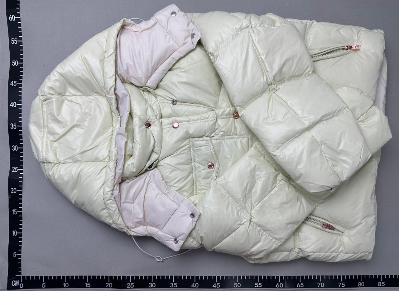   Moncler Erea Down Jacket -2