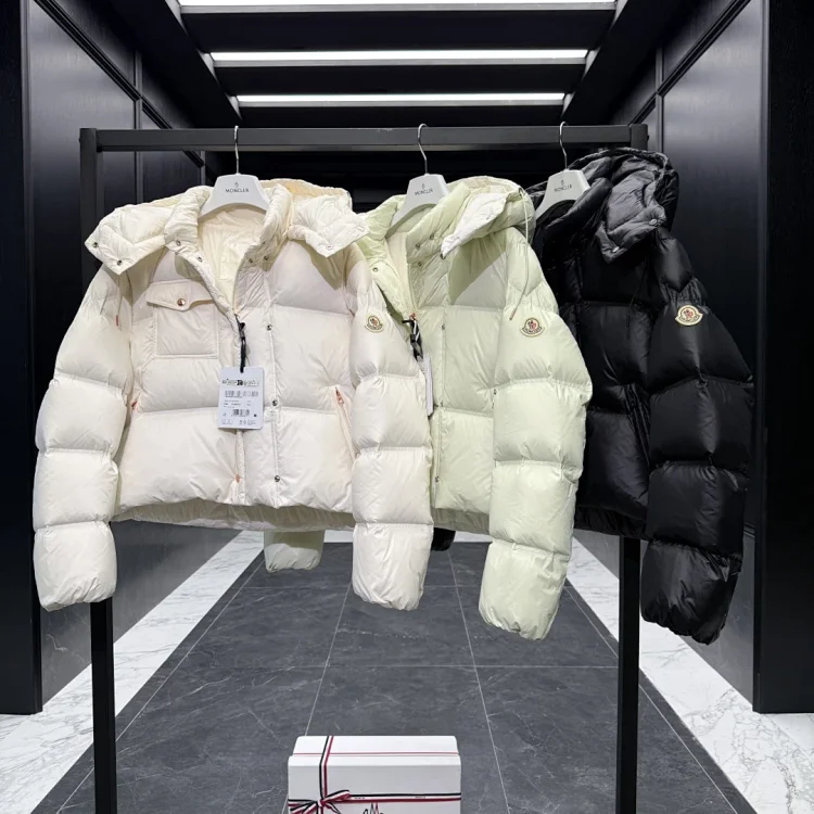   Moncler Erea Down Jacket