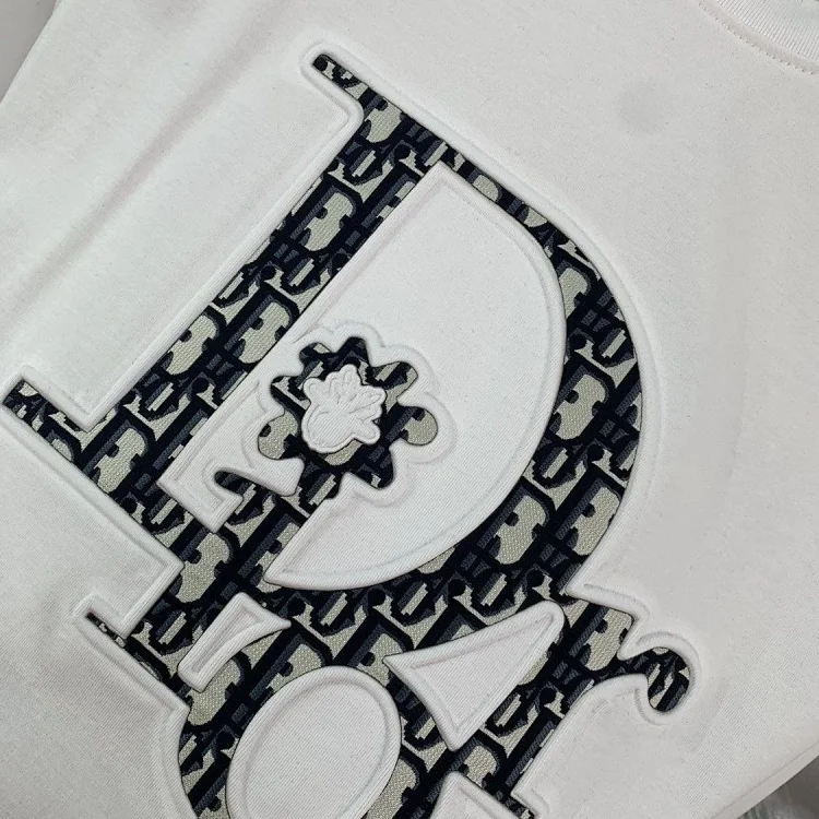  Dior Oblique T-Shirt [2 style