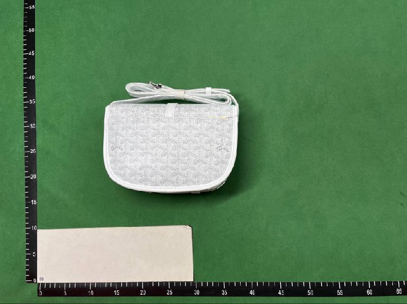 Goyard Saint Louis Card Holder -3