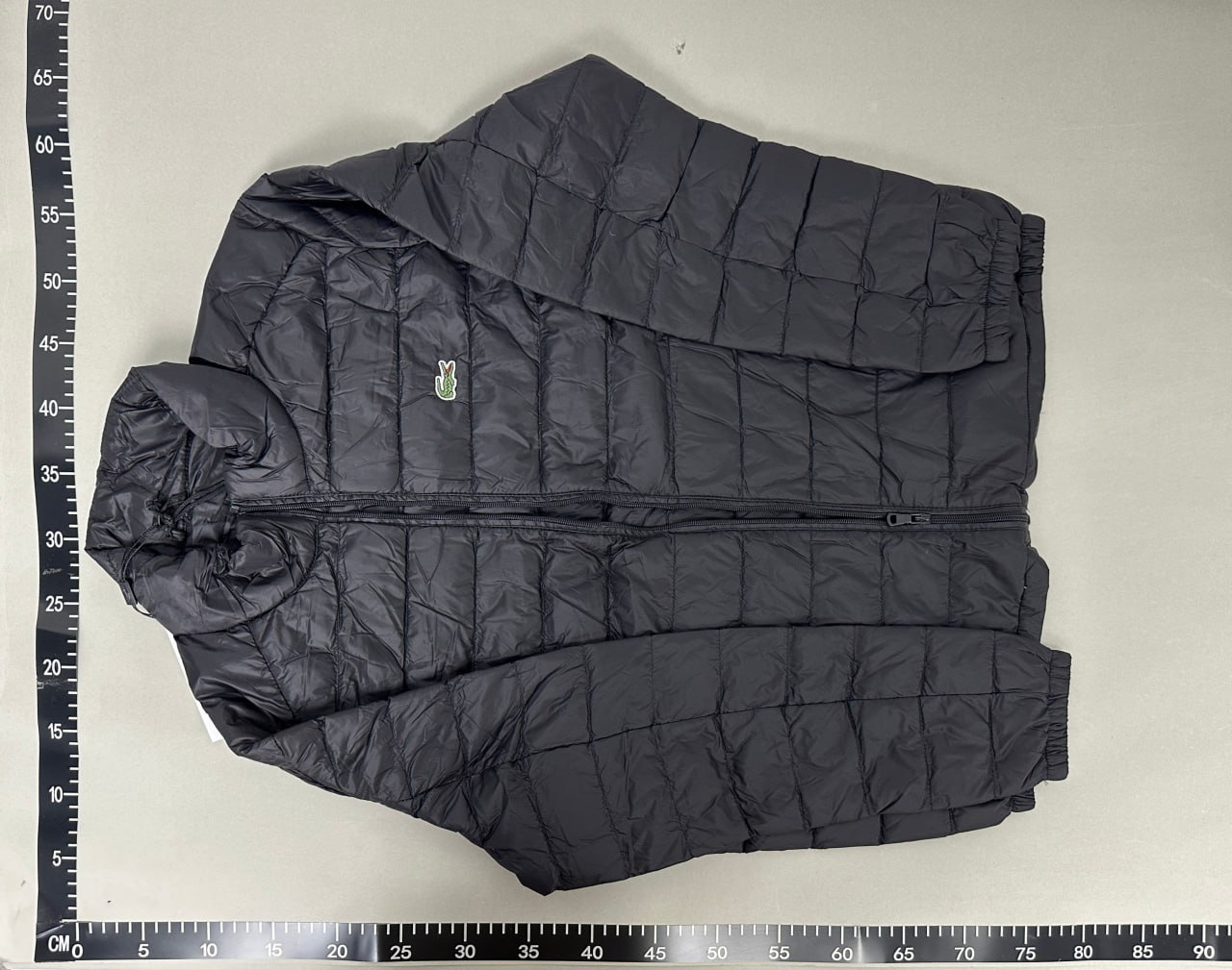 Lacoste Down Jacket -2
