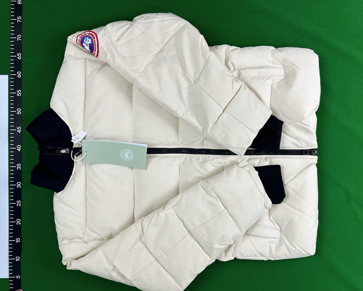  Canada Goose Puffer -3